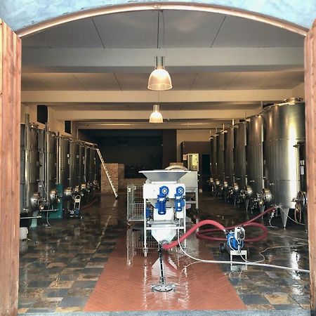 Miaclara Relais Konuk evi Alba  Dış mekan fotoğraf